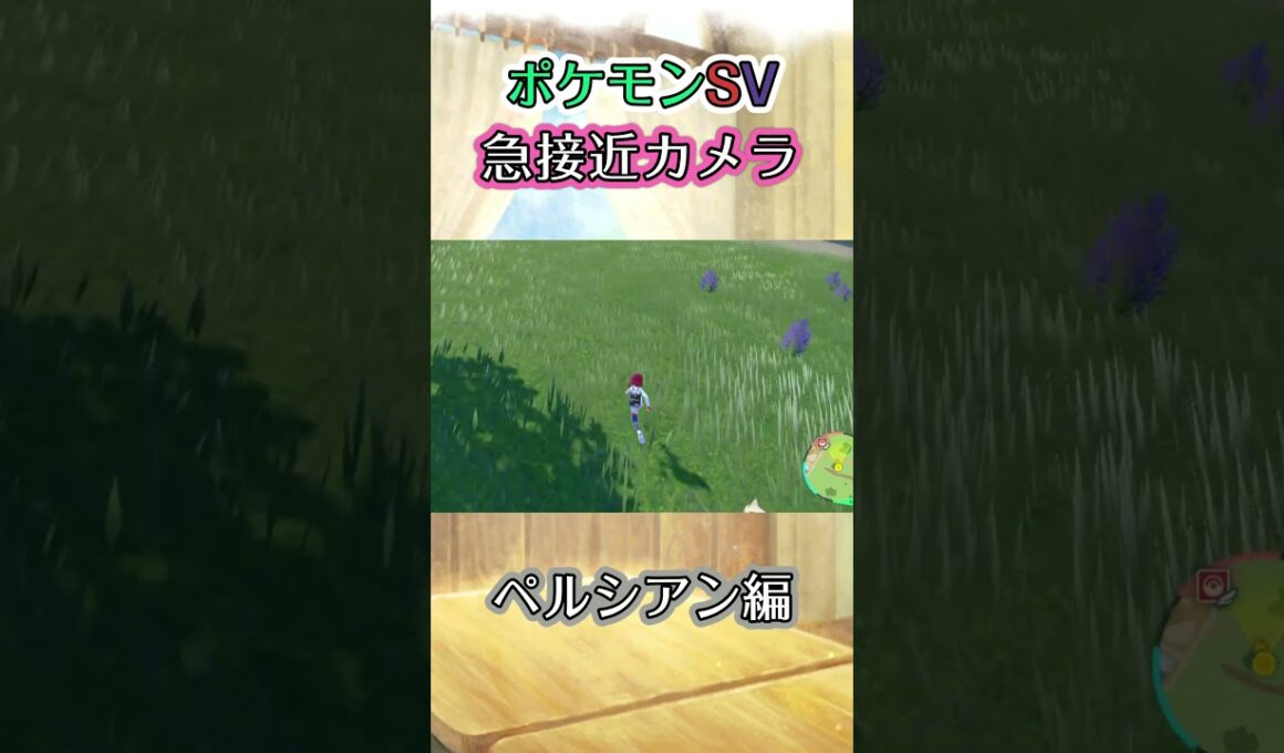 【ポケモンSV】ペルシアンから頑張って逃げるだけの動画 #ポケモン #ポケモンsv #ペルシアン #shorts