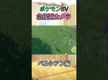 【ポケモンSV】ペルシアンから頑張って逃げるだけの動画 #ポケモン #ポケモンsv #ペルシアン #shorts