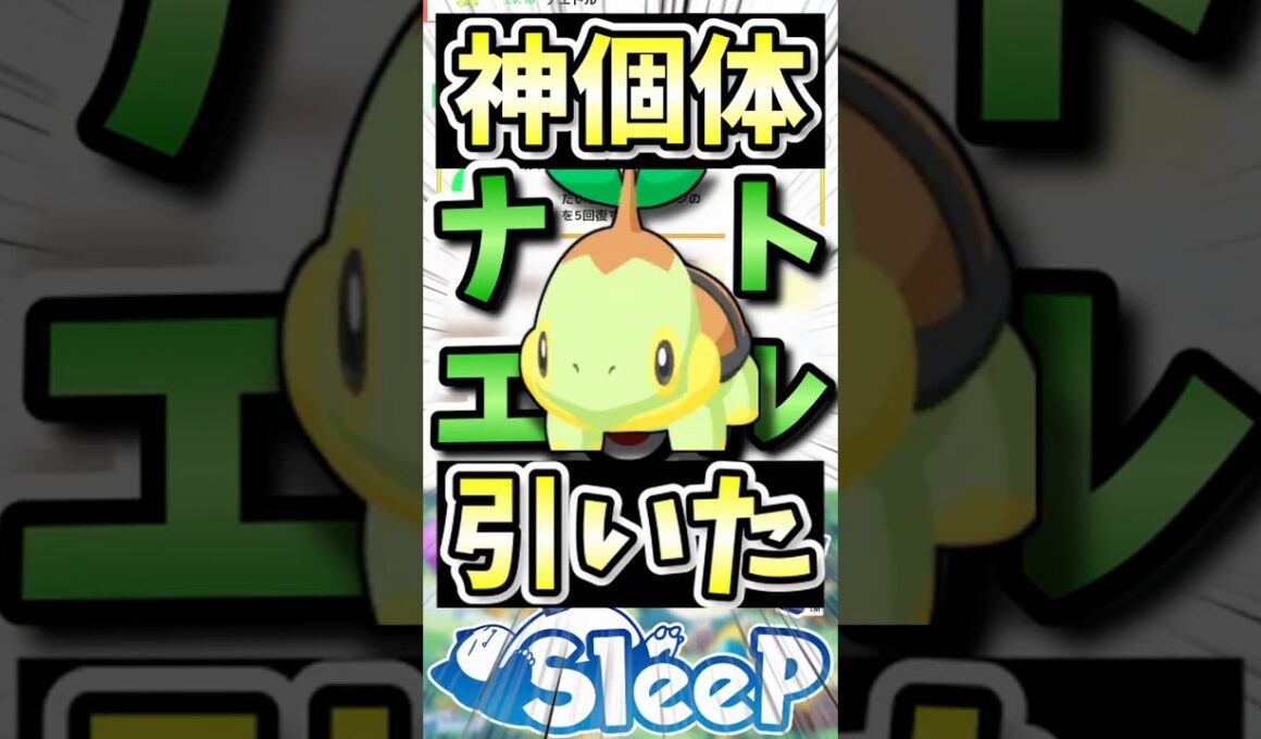 【衝撃】実装5日でナエトル厳選終了？！この神個体を見てくれ #ポケスリ #ポケモンスリープ