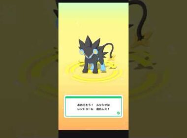 【Pokémon SLEEP】 Luxio → Luxray Evolve 🔥