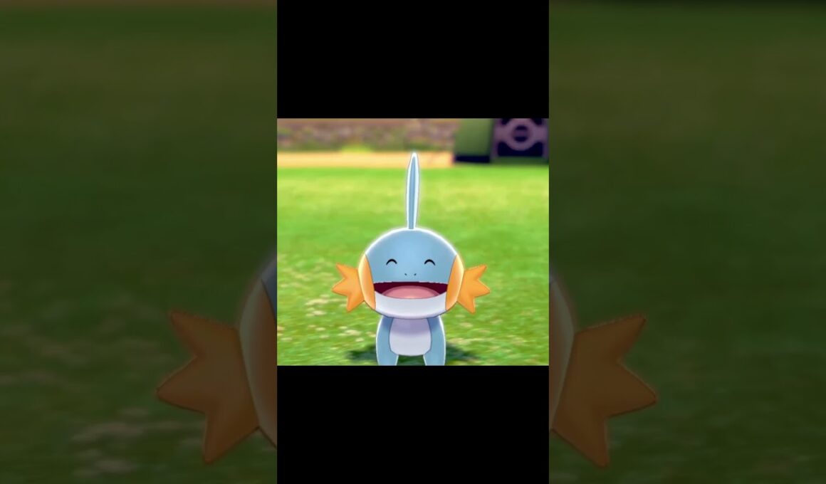 駆け寄ってくるミズゴロウ　#Shorts