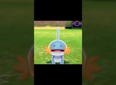 駆け寄ってくるミズゴロウ　#Shorts