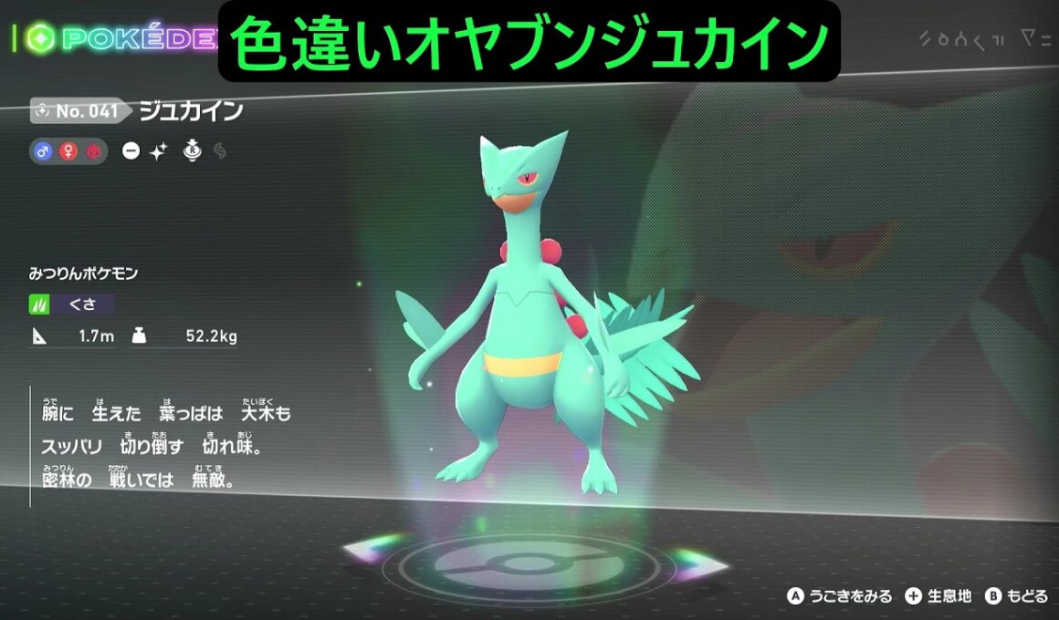 色違いオヤブンキモリ・ジュプトル・ジュカイン ポケモンレジェンズZA M次元ラッシュ Pokémon LEGENDS Z-A Mega Dimension #ポケモン