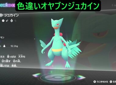 色違いオヤブンキモリ・ジュプトル・ジュカイン ポケモンレジェンズZA M次元ラッシュ Pokémon LEGENDS Z-A Mega Dimension #ポケモン