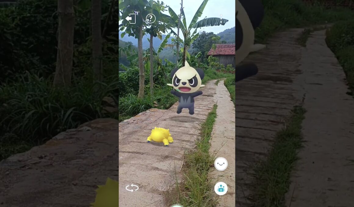 Microvolt Bug Vs Baby Panda Pokemon #234 #pokemon #ポケモン