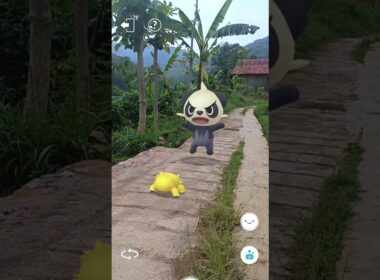 Microvolt Bug Vs Baby Panda Pokemon #234 #pokemon #ポケモン