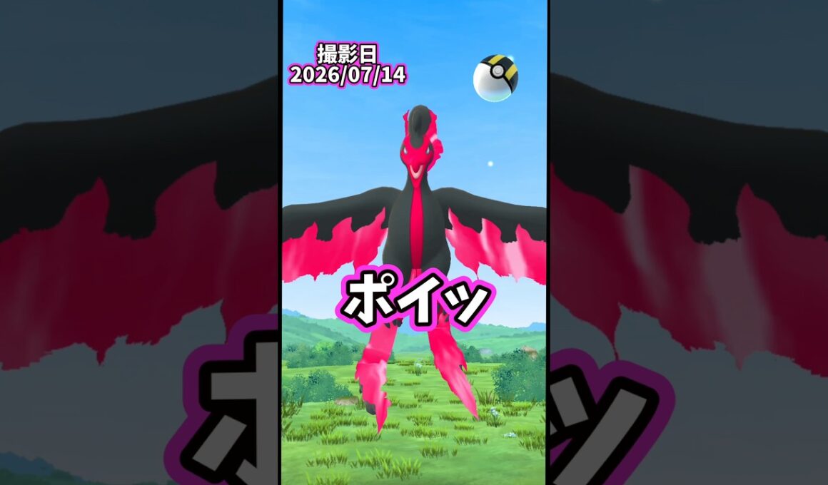 【PokemonGO】ガラルファイヤーさん対戦よろしくお願いします。【ブルックGO】