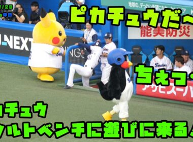 ピカチュウ　ヤクルトベンチに遊びに来る！！　2026/7/20 vs中日
