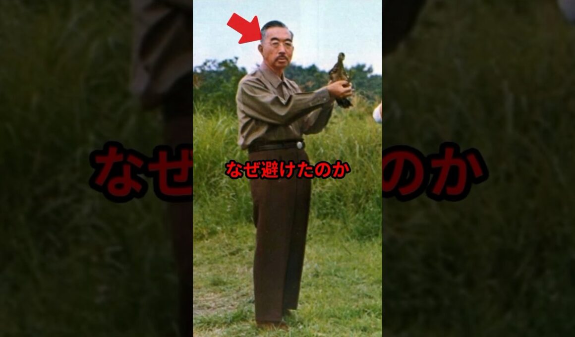 【祝🎊20万再生🎊】昭和天皇が愛した那須を美智子様はなぜ避けたのか　静養地に表れた令和皇室との決定的な違い　#shorts #雅子さま #天皇陛下 #皇室 #海外の反応 #美智子さま