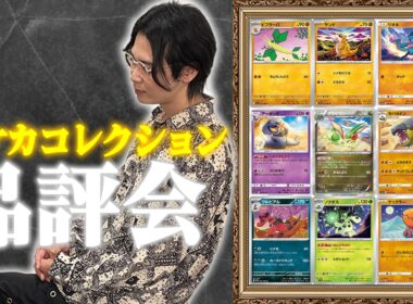 クチート竹内のポケカコレクション品評会 第二回【ポケモンカード】