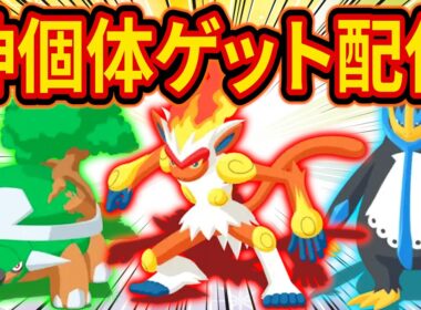 【SP9000爆誕】ポケスリ3周年イベントでシンオウ御三家の神個体を狙う魂の睡眠リサーチ配信【ポケモンスリープ/Pokémon Sleep/攻略】