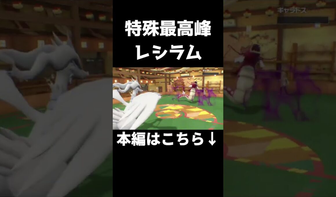 【レシラム】特攻種族値150から繰り出されるレシラムの高威力技はもう誰にも止められない【ポケモンSV シングル対戦 ランクマ】【青の円盤】【育成論】 #shots #ポケモンsvランクマ #ポケモン