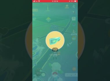 【お披露目】一位【ニャビー】 #pokemongo