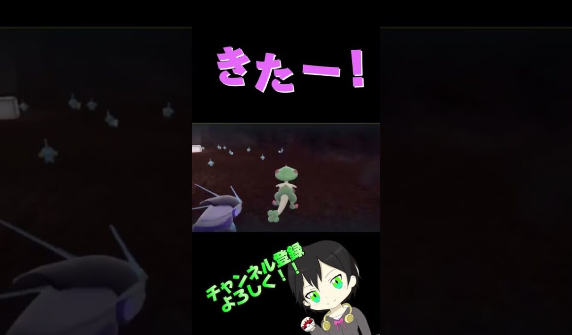 色違いミズゴロウゲットだぜ！#ポケモンsv #ポケットモンスタースカーレットバイオレット #色違い厳選 #プライベート