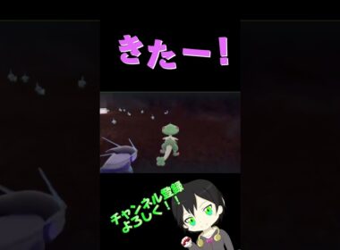 色違いミズゴロウゲットだぜ！#ポケモンsv #ポケットモンスタースカーレットバイオレット #色違い厳選 #プライベート