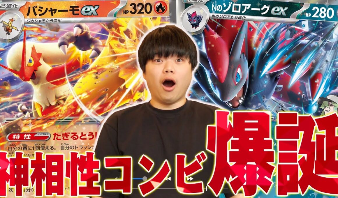 今勢いのあるバシャーモとゾロアークの組み合わせが強い！この二つ相性良すぎる…【ポケカ対戦】