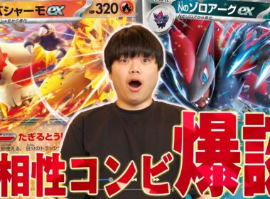 今勢いのあるバシャーモとゾロアークの組み合わせが強い！この二つ相性良すぎる…【ポケカ対戦】