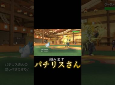 伝説（パチリスさん）の威光 #ポケモンSV #ポケモン #short
