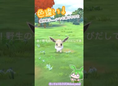 【ポケGO】イーブイ スポットライトアワー...も少しモフモフ多め(湧き多め)でも良いと思ったのだ💧