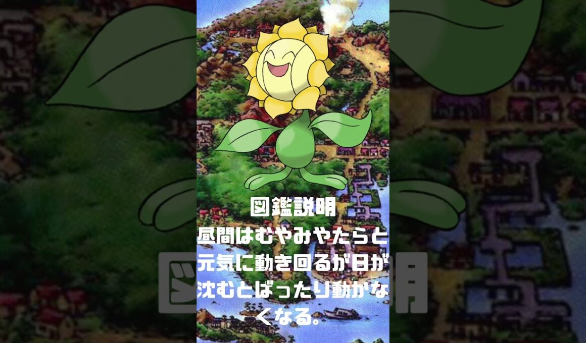 Ｎｏ．0192 キマワリ【ポケモン図鑑】 #shorts   #ポケモン　#pokemon