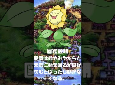 Ｎｏ．0192 キマワリ【ポケモン図鑑】 #shorts   #ポケモン　#pokemon