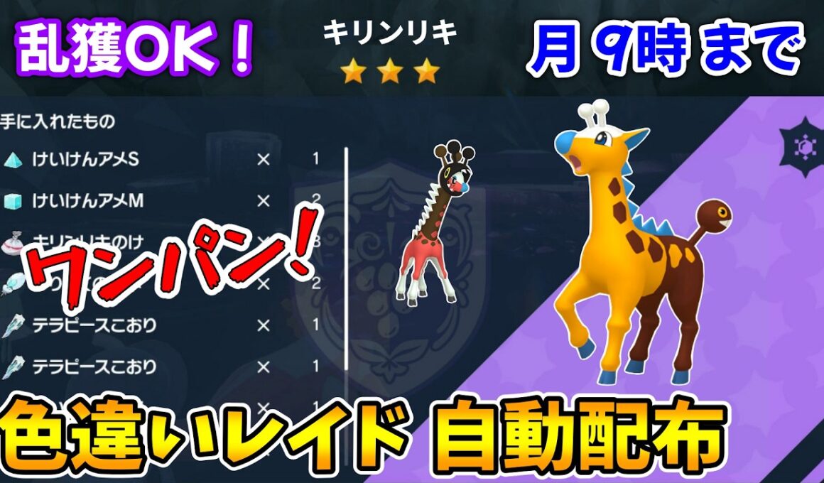 乱獲OK！キリンリキ色違いレイド自動配布会！【ポケモンSV】
