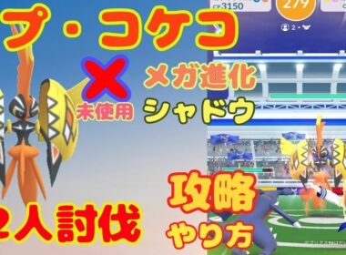 カプ・コケコを2人討伐・攻略！基本情報と少人数討伐におすすめの条件は？