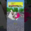 イダイトウの倒し方を教えるザマゼンタ【盾井壮】