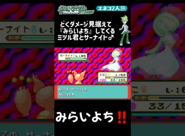 【ポケモンエメラルド Shorts】【エネコ2人旅】どくダメで落ちることを見越して『みらいよち』してくるミツル君とサーナイト♂ #Shorts