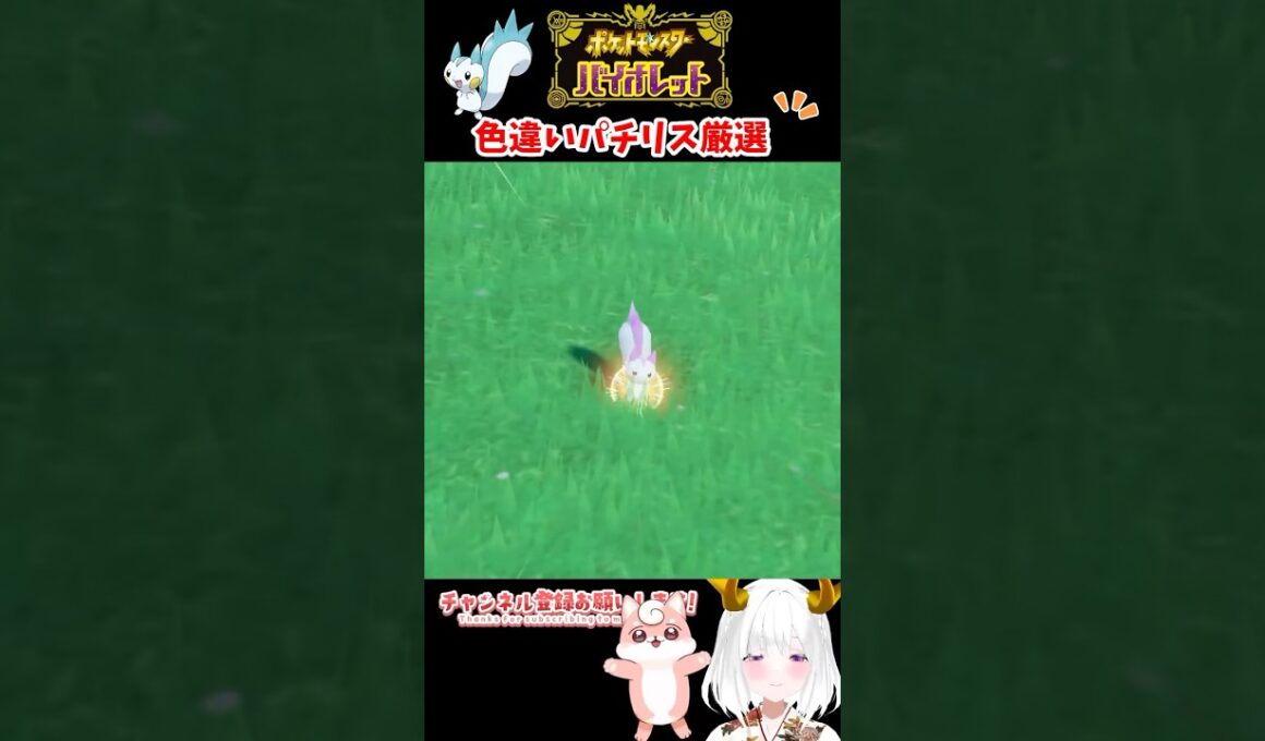 色違いパチリス出現シーン