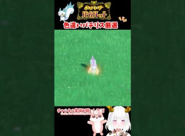 色違いパチリス出現シーン