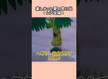 【あつ森】夏のレア虫は最高ですwヘラクレスオオカブトなど【あつまれどうぶつの森】#shorts #あつ森
