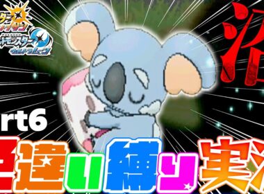 【ポケモンUSUM】地獄...32796回目で色違いネッコアラがついに誕生...！【色違い縛り実況Part6】