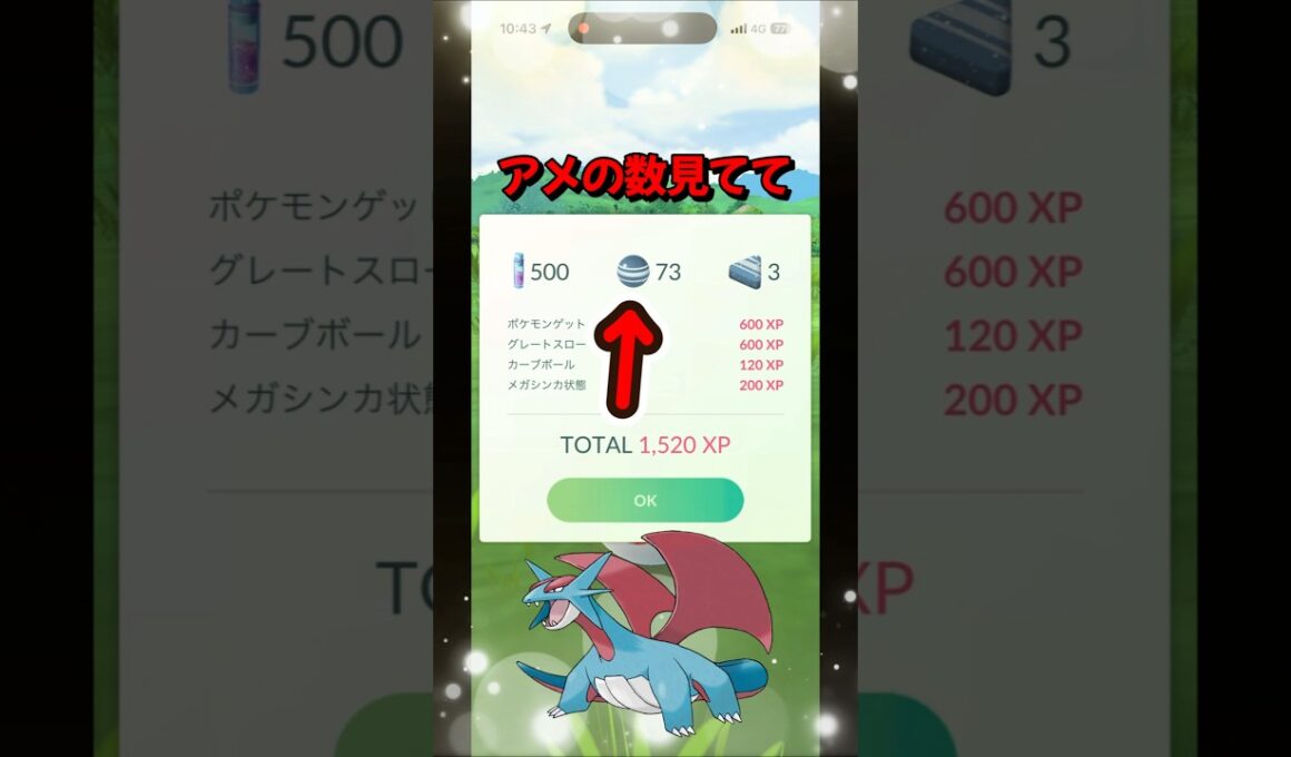 【ポケモンGO】え！凄すぎん！？ボーマンダのアメの数が想像以上に多かった#ポケモンgo #ポケモン #Shorts