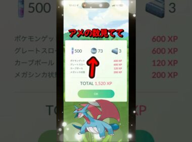 【ポケモンGO】え！凄すぎん！？ボーマンダのアメの数が想像以上に多かった#ポケモンgo #ポケモン #Shorts