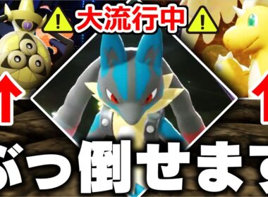 【全勝】『環境適応型ルカリオ』で大流行中の"カイリューガルド構築"を3タテしまくる【ポケモンチャンピオンズ】
