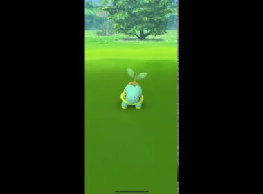 【ポケモンGO】色違い ナエトル ゲット✨