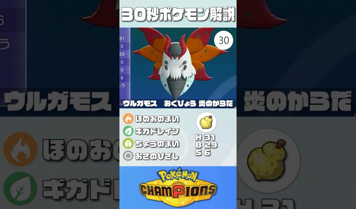 30秒でポケモン解説！『ウルガモス』【最高レート2421】#ポケモンチャンピオンズ #ポケチャン #ウルガモス #解説 #実況 #pokémonchampions #初心者 #育成論