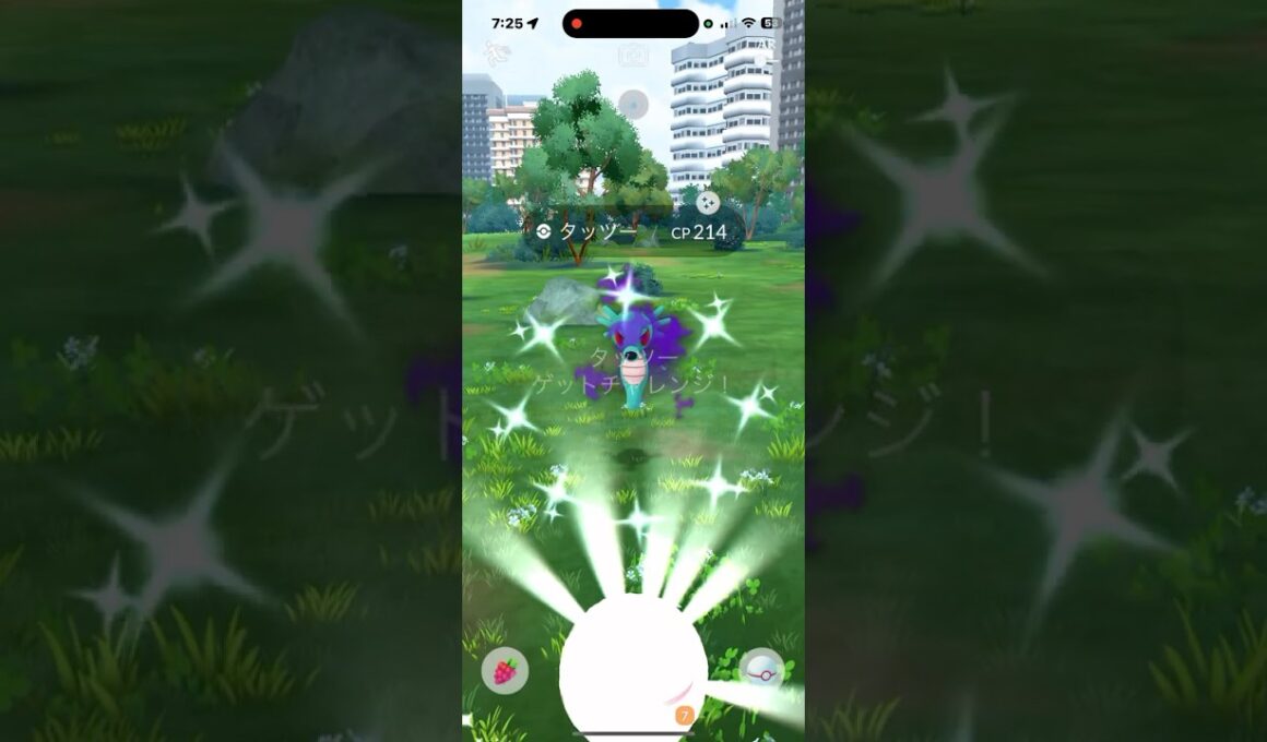 Shiny Horsea caught! #ポケモンgo #ポケモン #pokemongo #タッツー