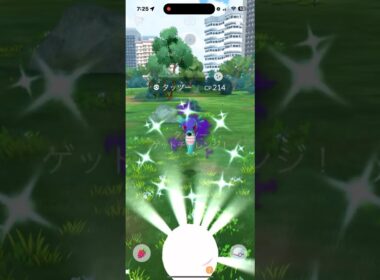Shiny Horsea caught! #ポケモンgo #ポケモン #pokemongo #タッツー