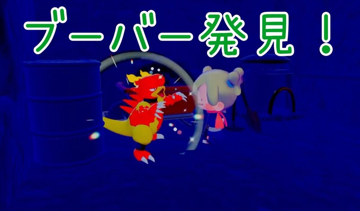 【ぽこあ】#4　ブーバー発見！