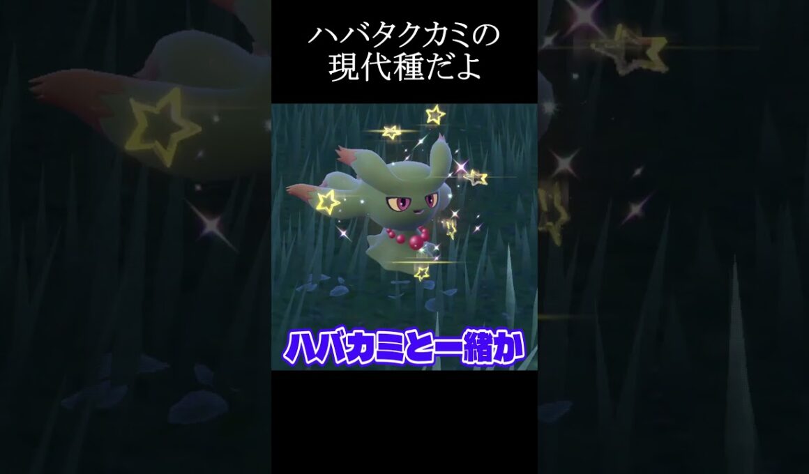 色違いのムウマージがすごすぎる