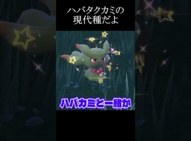 色違いのムウマージがすごすぎる