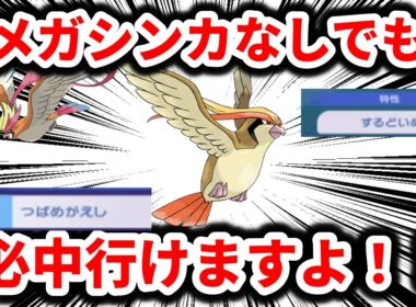 【対戦】ピジョットが実はメガシンカしなくても必中であることができるのを、君は知っているか！？！？