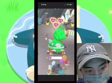 悲報、ナエトル絶滅。【ポケモンスリープ】