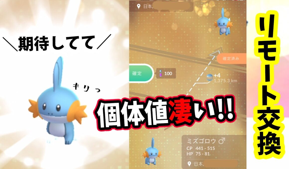 【ポケモンGO】ミズゴロウを視聴者さんとリモート交換してみた！キラポケモンになったミズゴロウの個体値がめっちゃ凄いことに！？