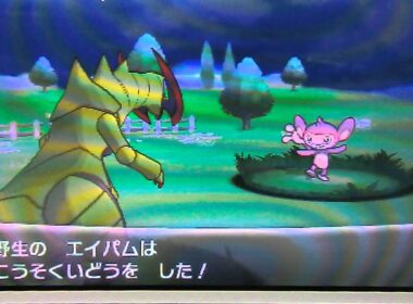 ポケットモンスターX・Y 色違いのエイパムをgetする動画【フレンドサファリ産】