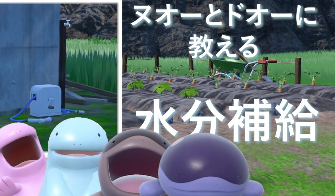 ヌオーとドオーに水分補給の大切さを教える【ポケモンSV】