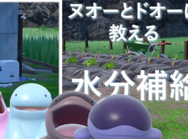 ヌオーとドオーに水分補給の大切さを教える【ポケモンSV】