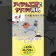 【トモコレ】ポケモンZAで主人公が最初にゲットするヤヤコマをアイテム工房で再現⁉【トモダチコレクションわくわく生活】